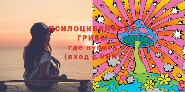 МДПВ Вязьма