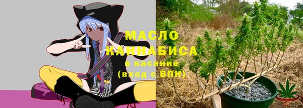 МДПВ Вязьма