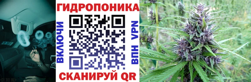 Шишки марихуана SATIVA & INDICA  hydra онион  Луза  магазин  наркотиков 
